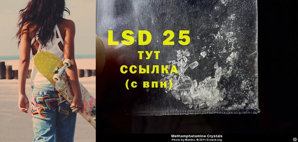 прущие грибы Магас