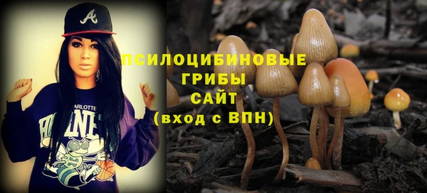 гидра Михайлов