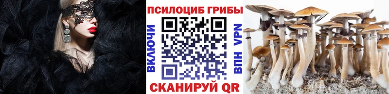Галлюциногенные грибы Psilocybine cubensis  наркота  Катайск 